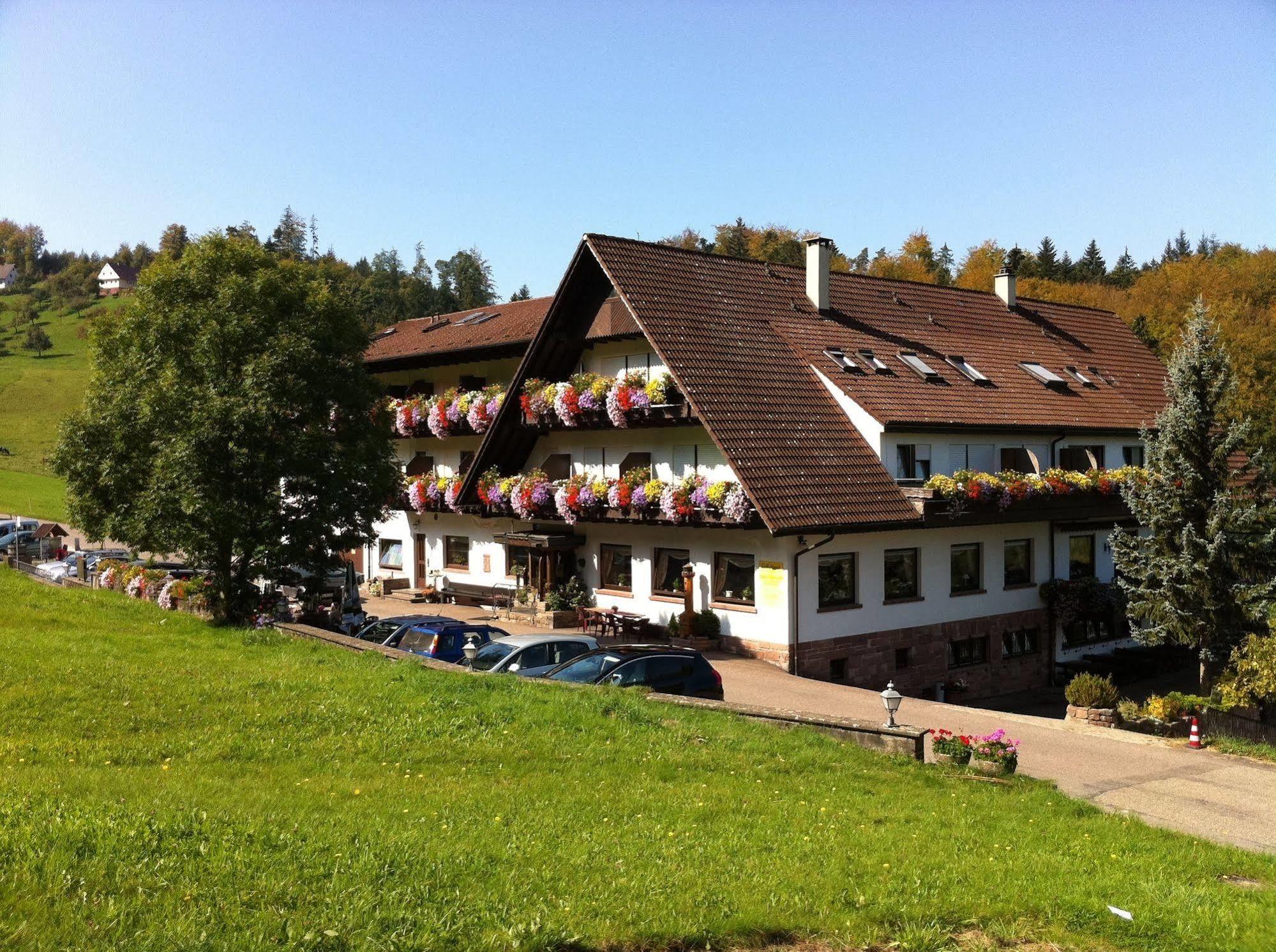 Hoehenhotel & Restaurant Kalikutt Oppenau Exteriér fotografie